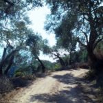 wyprawa_offroad_albania__009