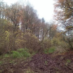 offroad_pod_zielonym_jajem_06