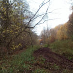offroad_pod_zielonym_jajem_08