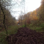 offroad_pod_zielonym_jajem_10