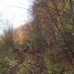 offroad_pod_zielonym_jajem_11