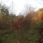 offroad_pod_zielonym_jajem_12