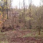 offroad_pod_zielonym_jajem_18