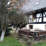 offroad_pod_zielonym_jajem_50