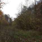 offroad_pod_zielonym_jajem_51