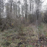 offroad_pod_zielonym_jajem_52
