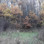 offroad_pod_zielonym_jajem_53