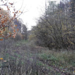 offroad_pod_zielonym_jajem_56