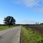 Litwa_Lotwa_Estonia_offroad_23