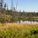 wczasy_offroad_suwalszczyzna_22