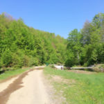 rpt