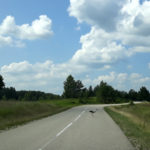 litwa_kotwa_estonia_offroad_041