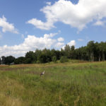 litwa_kotwa_estonia_offroad_042