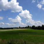 litwa_kotwa_estonia_offroad_044