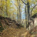 trasa-off-road-okolice-kazimierza-68