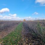 trasa-off-road-janowiec-baltow-27