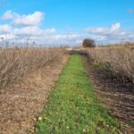 trasa-off-road-janowiec-baltow-29