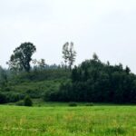 dzien_08-10