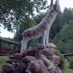 dzien_08-12