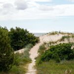 dzien_09-03