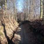 szkolenie-off-road-lesny-dworek-18