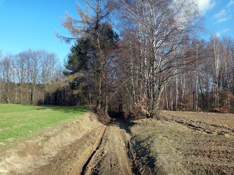 szkolenie off-road - zajęcia w terenie 12